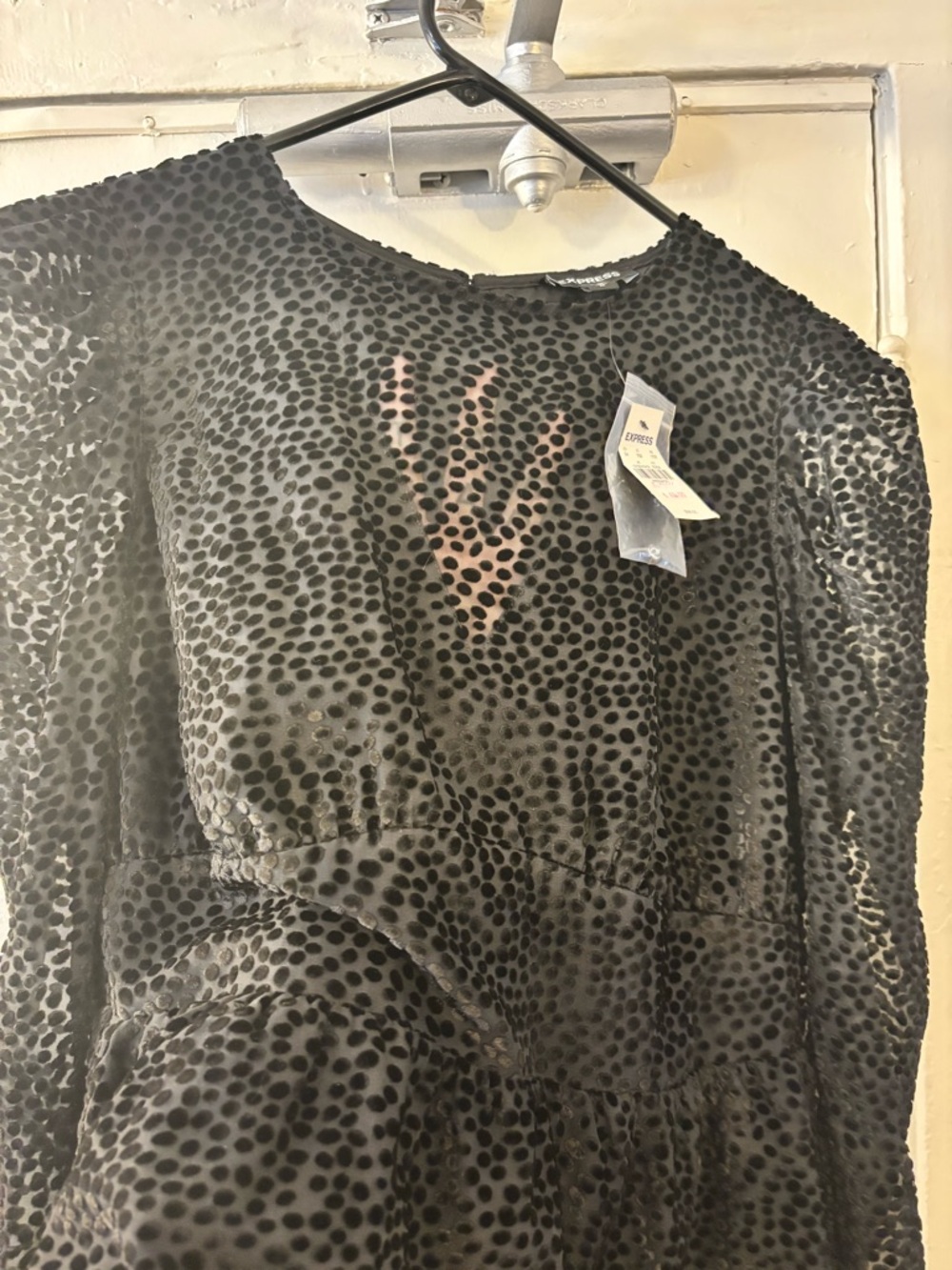 Express Black Burnout Velvet Polka Dot Dress